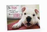 Birthday Card with Dogs Sleepy Birthday Dog Cards Hallmark Happy Card Pictures