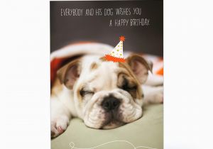 Birthday Card with Dogs Sleepy Birthday Dog Greeting Card 1pgc7155 1470 1 Jpg