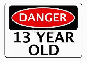 Birthday Cards for 13 Year Old Boy Quot Danger 13 Year Old Fake Funny Birthday Safety Sign