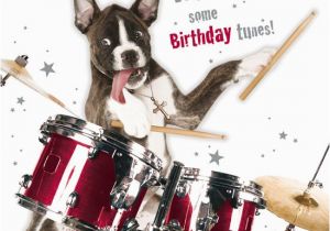 Birthday Cards for Drummers 988 Best My Picture Creations Images On Pinterest