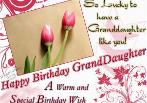 Birthday Cards for Granddaughters Special Wishes for Granddaughter Wishbirthday Com