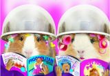 Birthday Cards for Hairdressers Funny Guinea Pig Birthday Card Let Off Steam Hairdressers