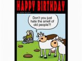 Birthday Cards for Old People World Of Cow Birthday Card Old People Zazzle