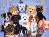 Birthday Cards for Pets 104 Best Happy Birthday Dog Friends Images On Pinterest