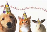 Birthday Cards for Pets Animal Happy Birthday Pictures