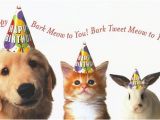 Birthday Cards for Pets Animal Happy Birthday Pictures