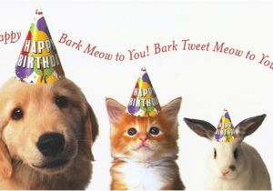 Birthday Cards for Pets Animal Happy Birthday Pictures