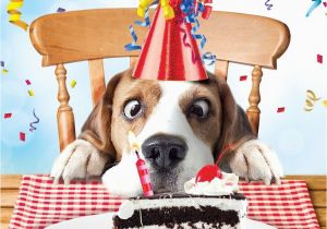 Birthday Cards for Pets Beagle Luxury Glitter Funny Birthday Greeting Card Dog