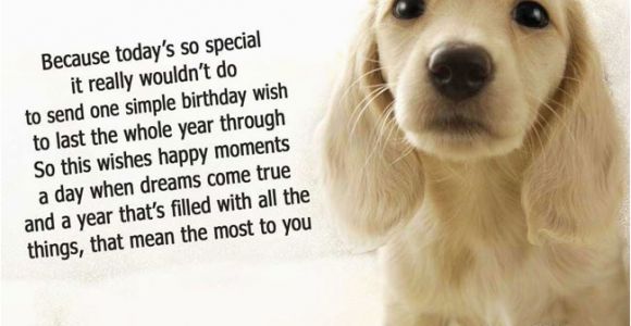 Birthday Cards for Pets Dog Birthday Quotes Quotesgram