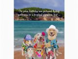 Birthday Cards for Pets Funny Pets Tropical Paradise Birthday Cards Zazzle