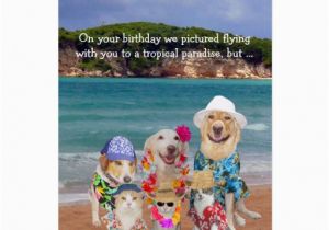 Birthday Cards for Pets Funny Pets Tropical Paradise Birthday Cards Zazzle