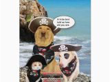 Birthday Cards for Pets Funny Pirate Pets Birthday Card Zazzle Com