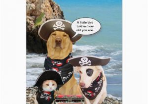 Birthday Cards for Pets Funny Pirate Pets Birthday Card Zazzle Com