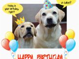 Birthday Cards for Pets Happy Birthday Dog Party Free Pets Ecards Greeting Cards