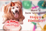 Birthday Cards for Pets Pet Birthday Free Pets Ecards Greeting Cards 123 Greetings