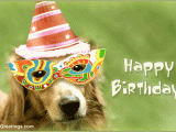 Birthday Cards for Pets Wish A Bow Wow Birthday Free Pets Ecards Greeting Cards