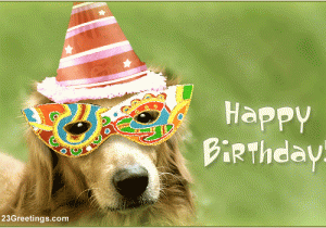 Birthday Cards for Pets Wish A Bow Wow Birthday Free Pets Ecards Greeting Cards