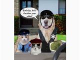 Birthday Cards for Police Officers Funny Lab Cat Officers Birthday Card Zazzle