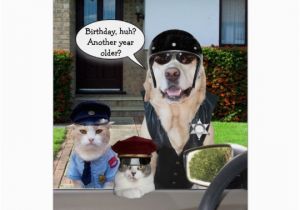 Birthday Cards for Police Officers Funny Lab Cat Officers Birthday Card Zazzle