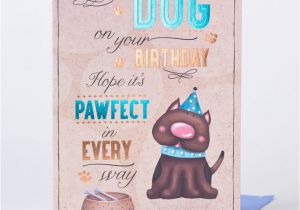 Birthday Cards From the Dog Birthday Card From the Dog Only 59p