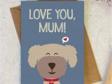 Birthday Cards From the Dog Mum Birthday Card Dog Lover From the Dog by Wink