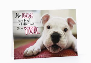 Birthday Cards From the Dog Sleepy Birthday Dog Cards Hallmark Happy Card Pictures