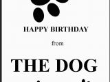 Birthday Cards From the Dog Woofbang Novelty Greeting Cards