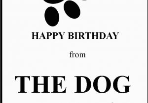 Birthday Cards From the Dog Woofbang Novelty Greeting Cards