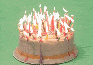 Birthday Cards Gif Animation Cake Gifs Find Share On Giphy