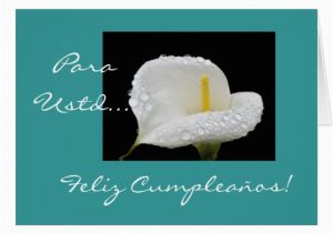 Birthday Cards In Spanish Feliz Cumpleanos Spanish Birthday Feliz Cumpleanos Greeting Card Zazzle