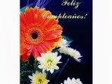 Birthday Cards In Spanish Feliz Cumpleanos Spanish Birthday Feliz Cumpleanos Greeting Card Zazzle