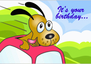 Birthday Cards Online Free Facebook Free Birthday Ecards Petfinder