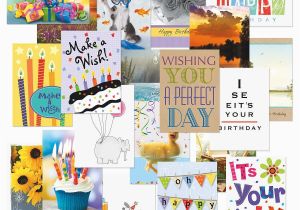Birthday Cards Value Pack 80 Card Mega Birthday Greeting Cards Value Pack Current