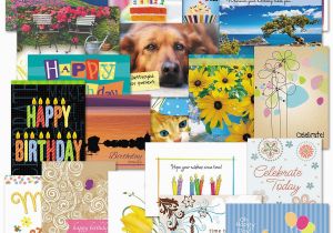Birthday Cards Value Pack Mega Birthday Cards I Value Pack Current Catalog
