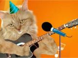 Birthday Cards with Cats Singing Cute Cats Singing Happy Birthday with Ukulele Youtube Cat