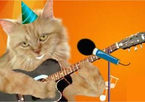 Birthday Cards with Cats Singing Cute Cats Singing Happy Birthday with Ukulele Youtube Cat