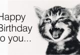 Birthday Cards with Cats Singing Free Singing Cat Ecard Email Free Personalized Birthday