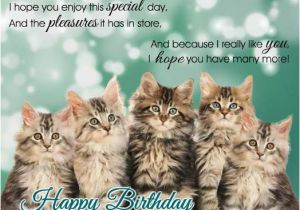 Birthday Cards with Cats Singing Singing Birthday Kitties Free Happy Birthday Ecards