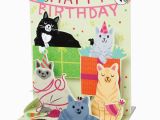 Birthday Cards with Cats Singing Singing Cats Happy Birthday Card Bas Bleu Uq3512
