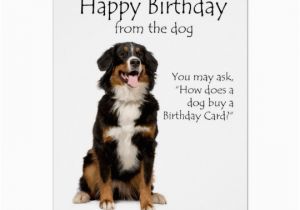Birthday Cards with Dogs On them Bernese Mt Dog Birthday Card Zazzle