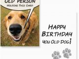 Birthday Cards with Dogs On them Birthday Cards for Dogs Greeting Cards for Dogs Card