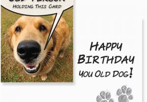 Birthday Cards with Dogs On them Birthday Cards for Dogs Greeting Cards for Dogs Card