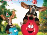 Birthday Cards with Dogs On them Funny Basset Hound Dog Space Hopper Birthday Card Bouncey