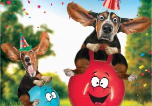 Birthday Cards with Dogs On them Funny Basset Hound Dog Space Hopper Birthday Card Bouncey