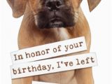 Birthday Cards with Dogs On them Puggle Puppy Die Cut Funny Dog Birthday Card by Paper