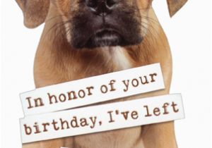 Birthday Cards with Dogs On them Puggle Puppy Die Cut Funny Dog Birthday Card by Paper