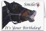 Birthday Cards with Horses 95 Best Images About Horse Birthday Quotes On Pinterest