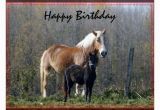 Birthday Cards with Horses Happy Birthday Wishes with Horses Page 5