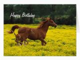 Birthday Cards with Horses Horse and Pony Happy Birthday Greeting Card Zazzle