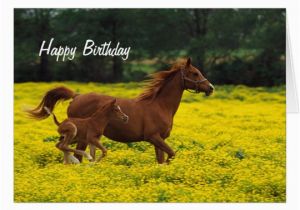 Birthday Cards with Horses Horse and Pony Happy Birthday Greeting Card Zazzle